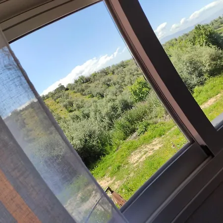 Rural Nivalis * Nivar